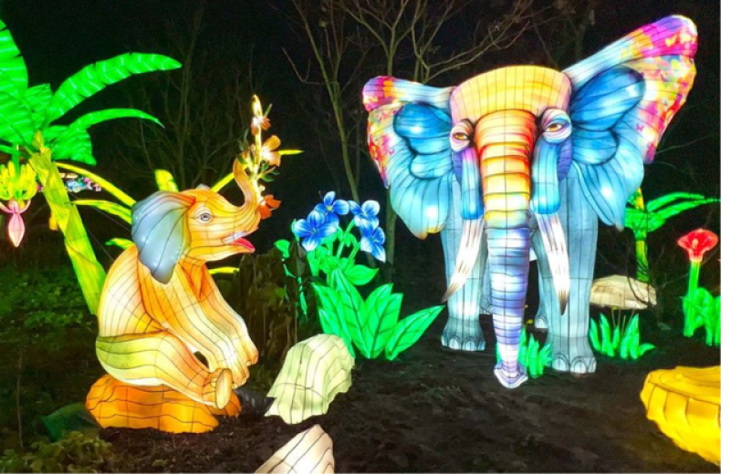 Light Safari  Beekse Bergen