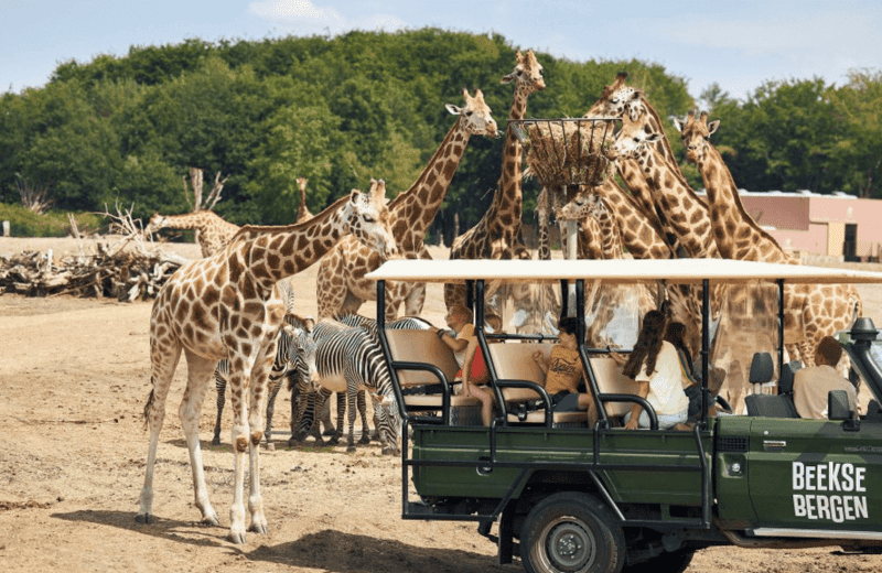 Safariparkbeeksebergenovernachtingcamper